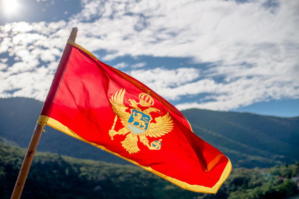 Türkmenistan we Çernogoriýa özara ykdysady hyzmatdaşlygyň mümkinçiliklerini ara alyp maslahatlaşdylar