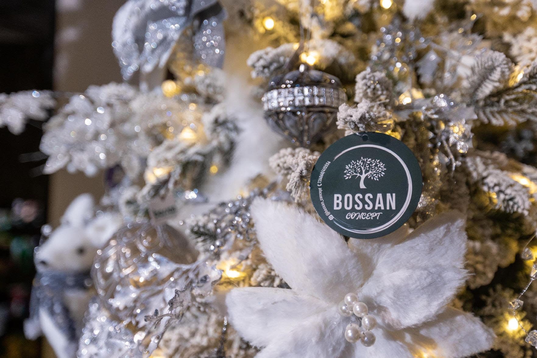 vybiraem-novogodnyuyu-yolku-vmeste-s-bossan-concept