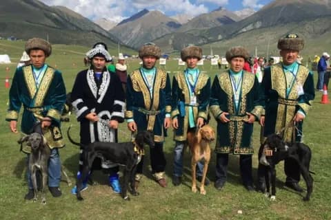 president-kazakhstan-signed-law-preservation-national-dog-breeds