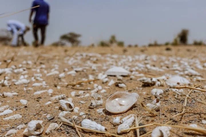 turkmenistan-discusses-best-practices-field-adaptation-climate-change