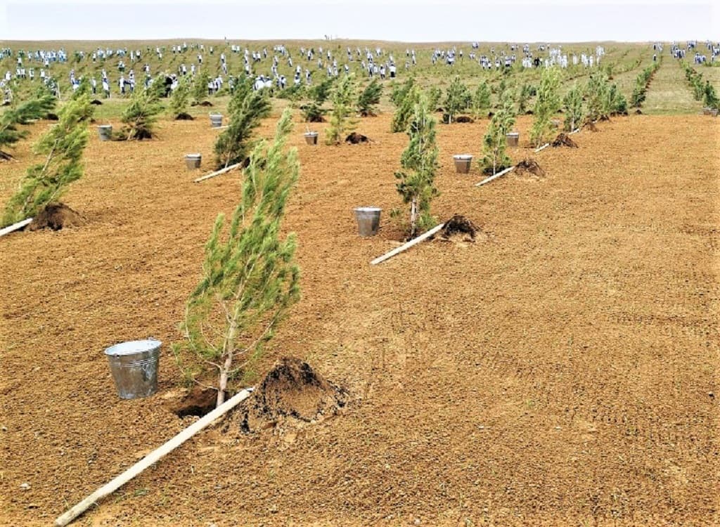 18-nji-martda-turkmenistanda-ahlihalk-bag-ekislik-caresi-geciriler