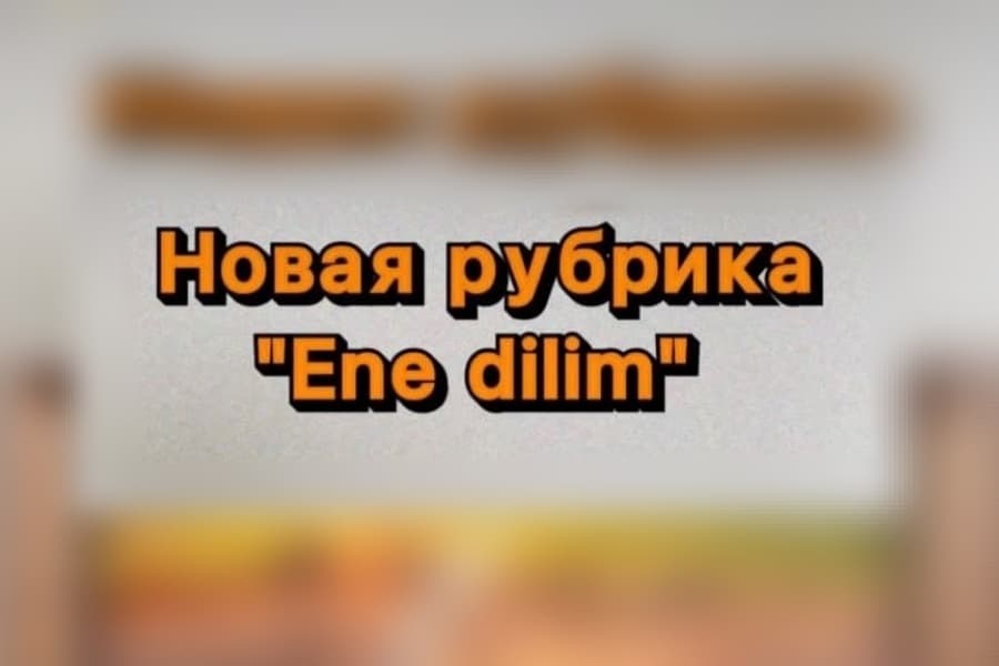 Генконсульство Туркменистана в Казани запустило рубрику о туркменском языке в соцсети