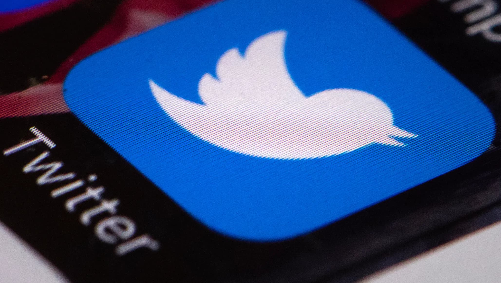 Логотипом Twitter стало изображение собаки из мема