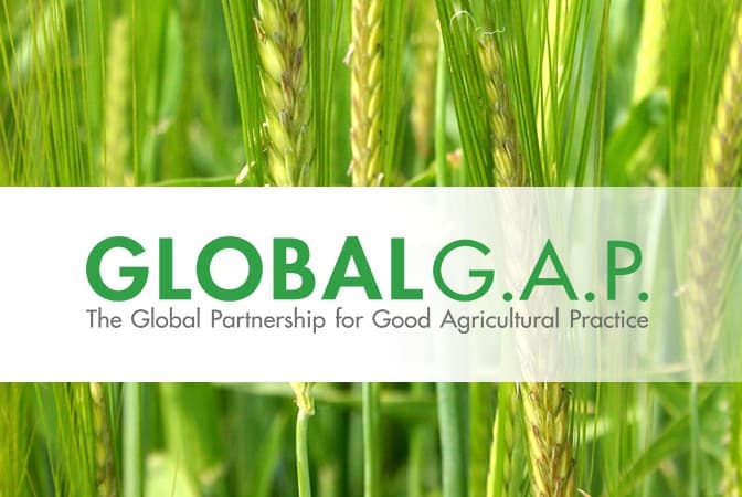 turkmenskie-kompanii-mogut-poluchit-konsultacii-po-vnedreniyu-standarta-global-gp