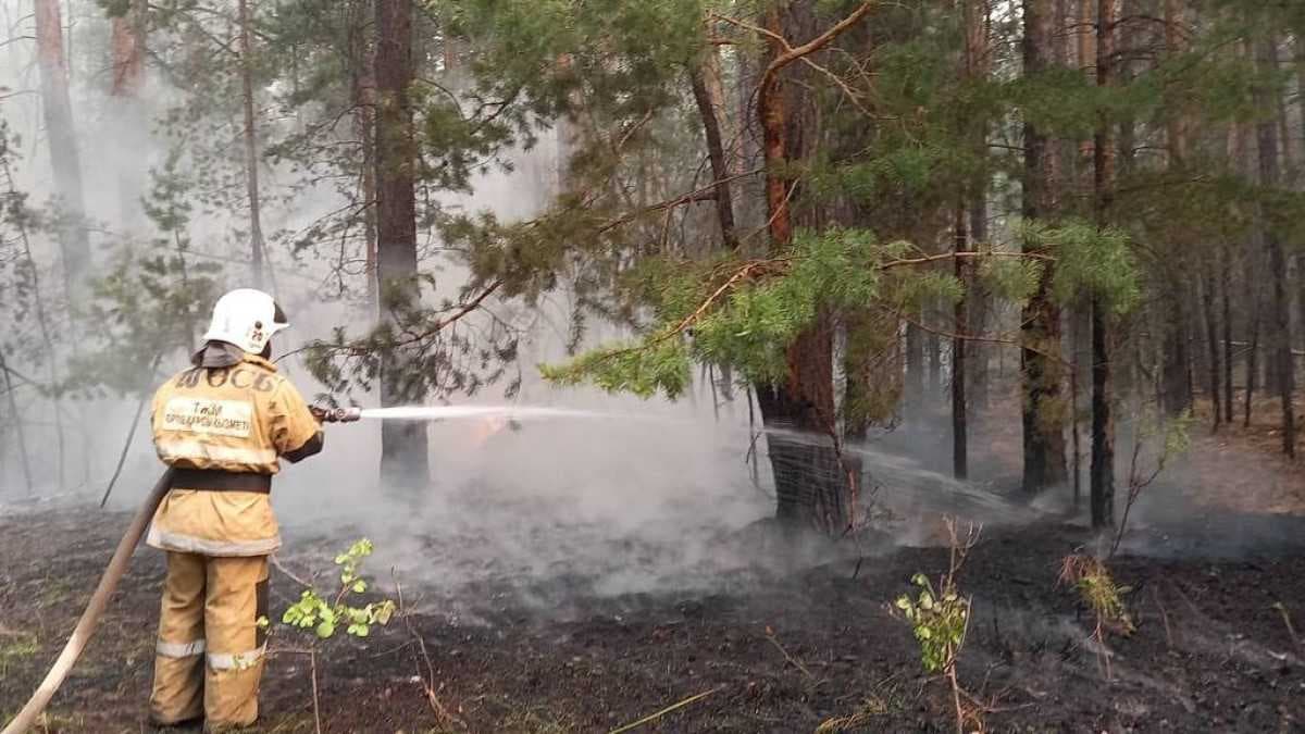 Руководство Туркменистана выражает соболезнования Токаеву в связи с лесными пожарами