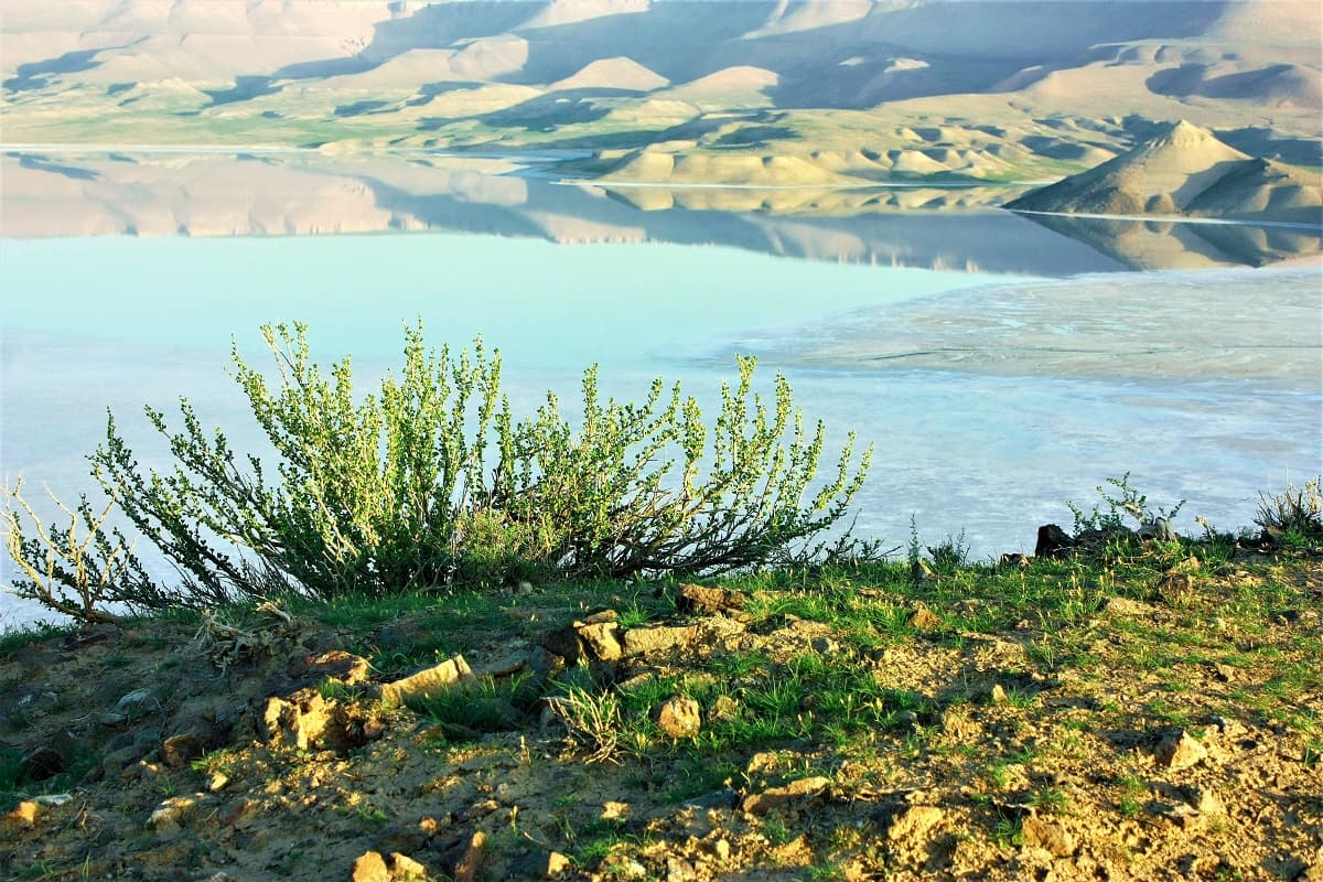 Coordination in the field of water resources and climate was discussed at the summit in Ashgabat