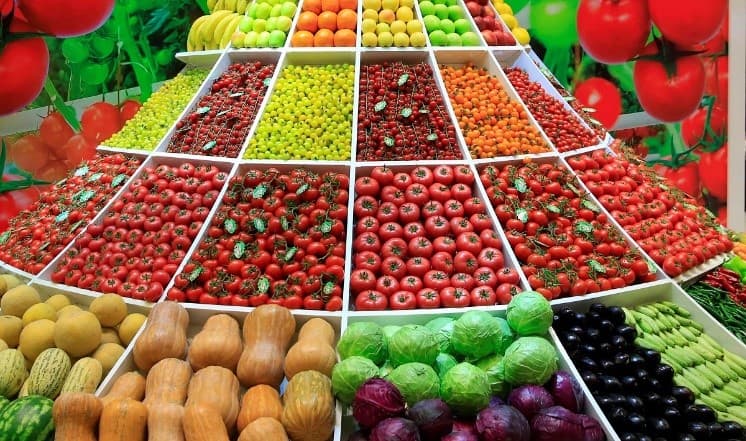 new-media-platform-launched-promote-turkmen-exports