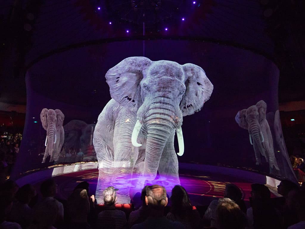 Holograms instead of animals – a giant fish, an elephant and a horse in the arena of the German circus