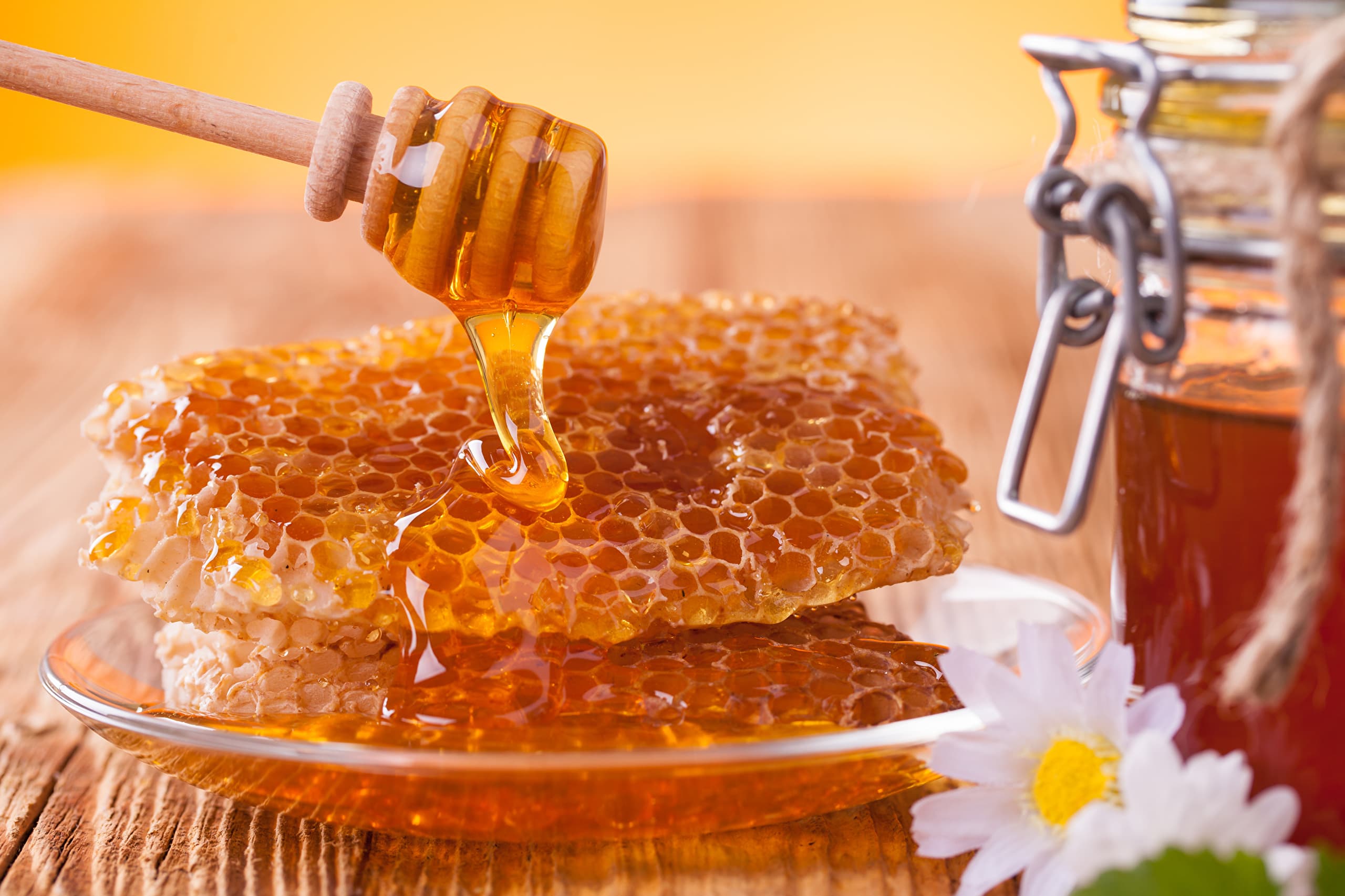 Turkmen bee yard to offer soon propolis, bee jelly and various types of nut honey