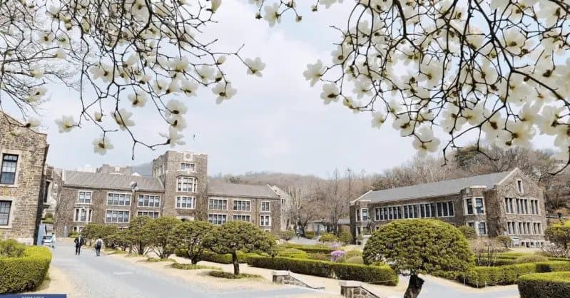 The Embassy of Korea invites Turkmen applicants to participate in the undergraduate scholarship program for the 2024 academic year