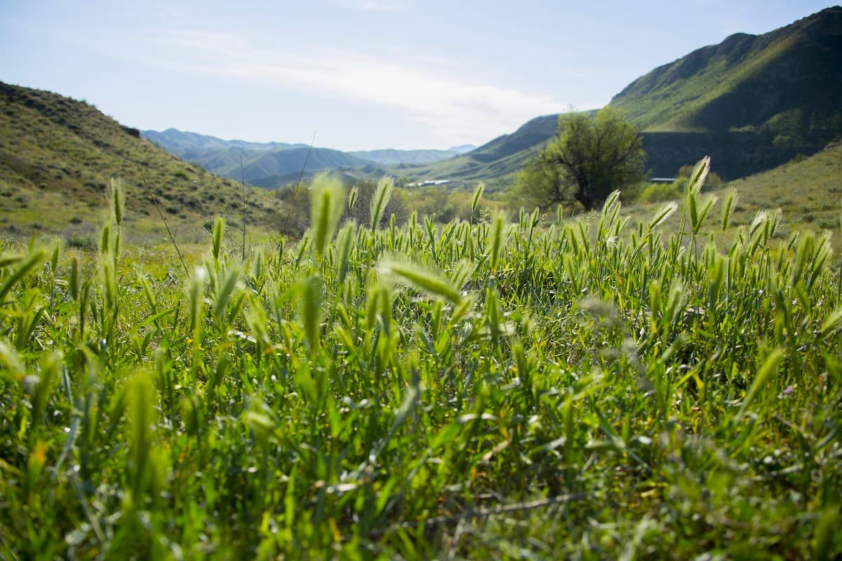 Turkmenistan supports the Global Methane Initiative