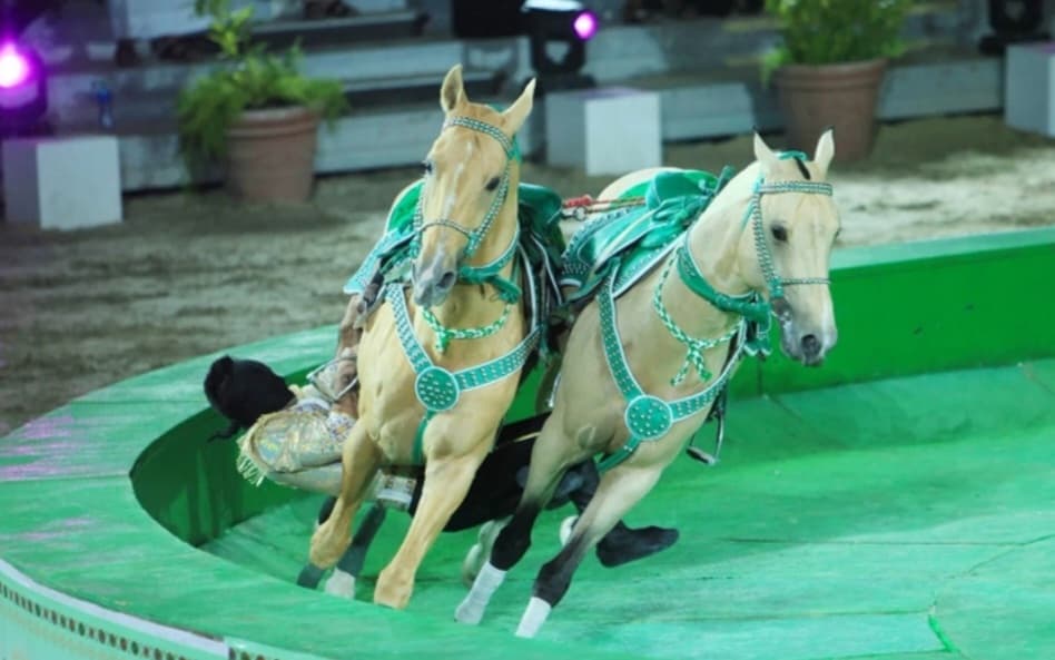 uchastniki-mezhdunarodnogo-mediaforuma-posetili-cirk-i-gorod-arkadag