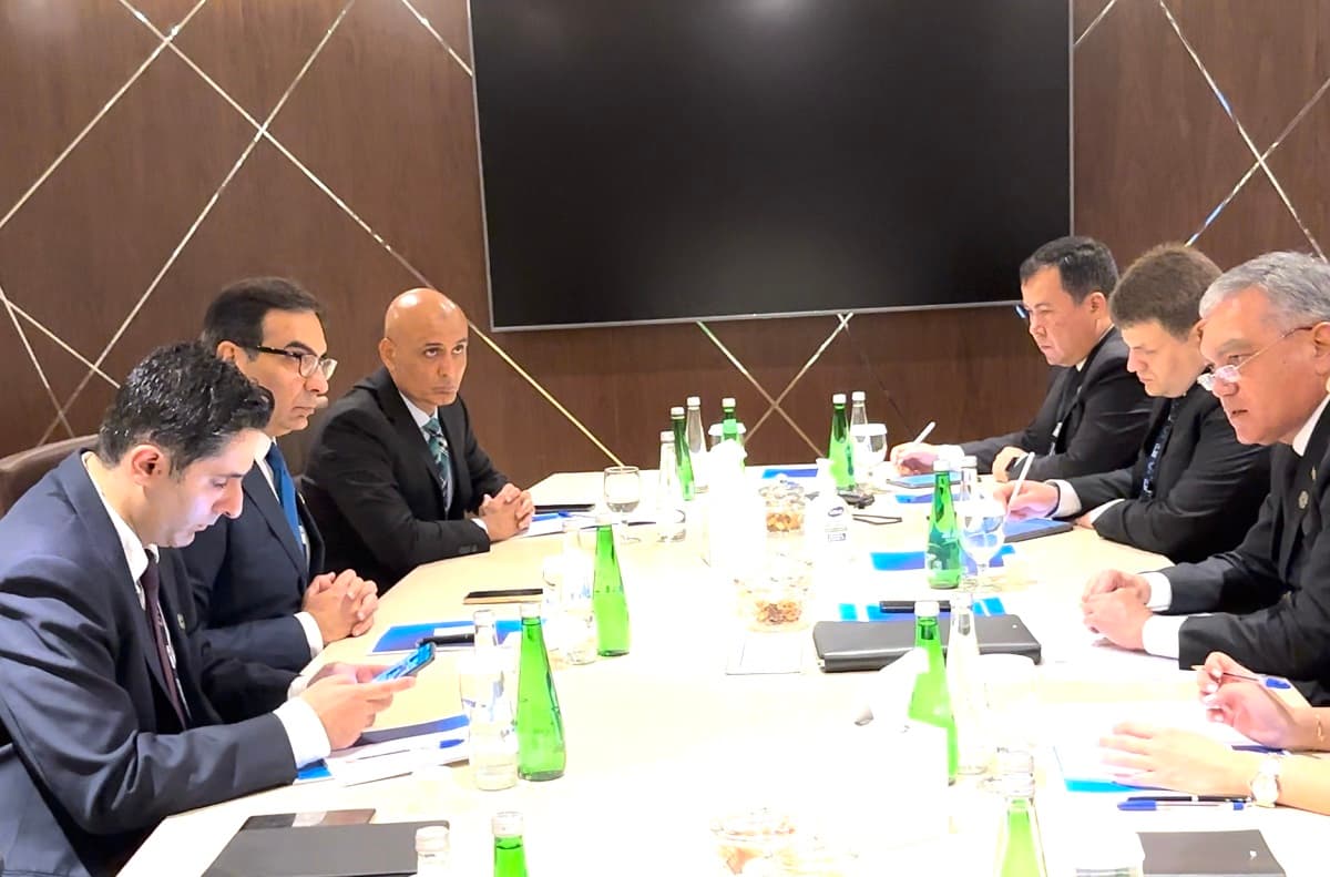 turkmenskaya-delegaciya-provela-vstrechu-s-ministrom-energetiki-pakistana
