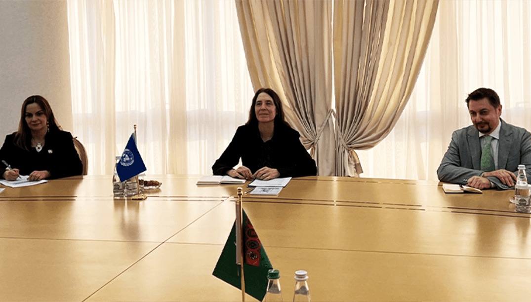 The Minister of Foreign Affairs of Turkmenistan met with the Regional Representative of the UN OHCHR