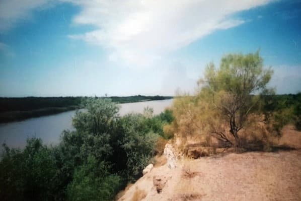 v-lesopitomnike-amudarinskogo-zapovednika-vysadyat-14-tysyach-sazhencev-sazaka