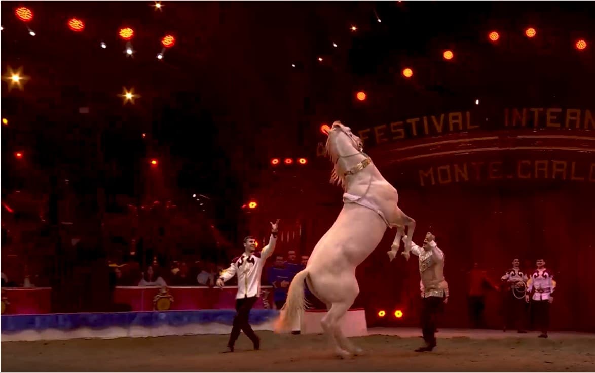 galkynysh-world-stage-circus