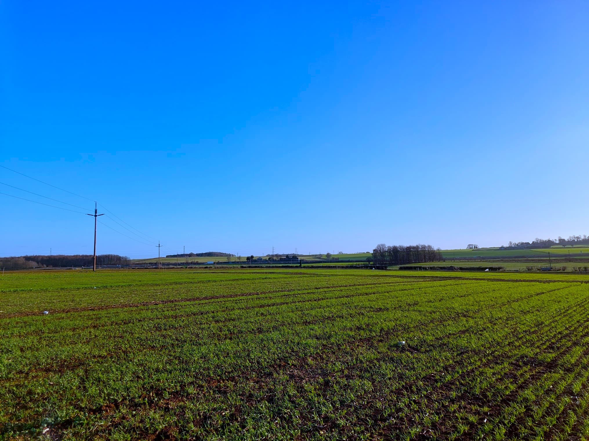 ashgabat-discusses-prospects-regenerative-agriculture-and-soil-management