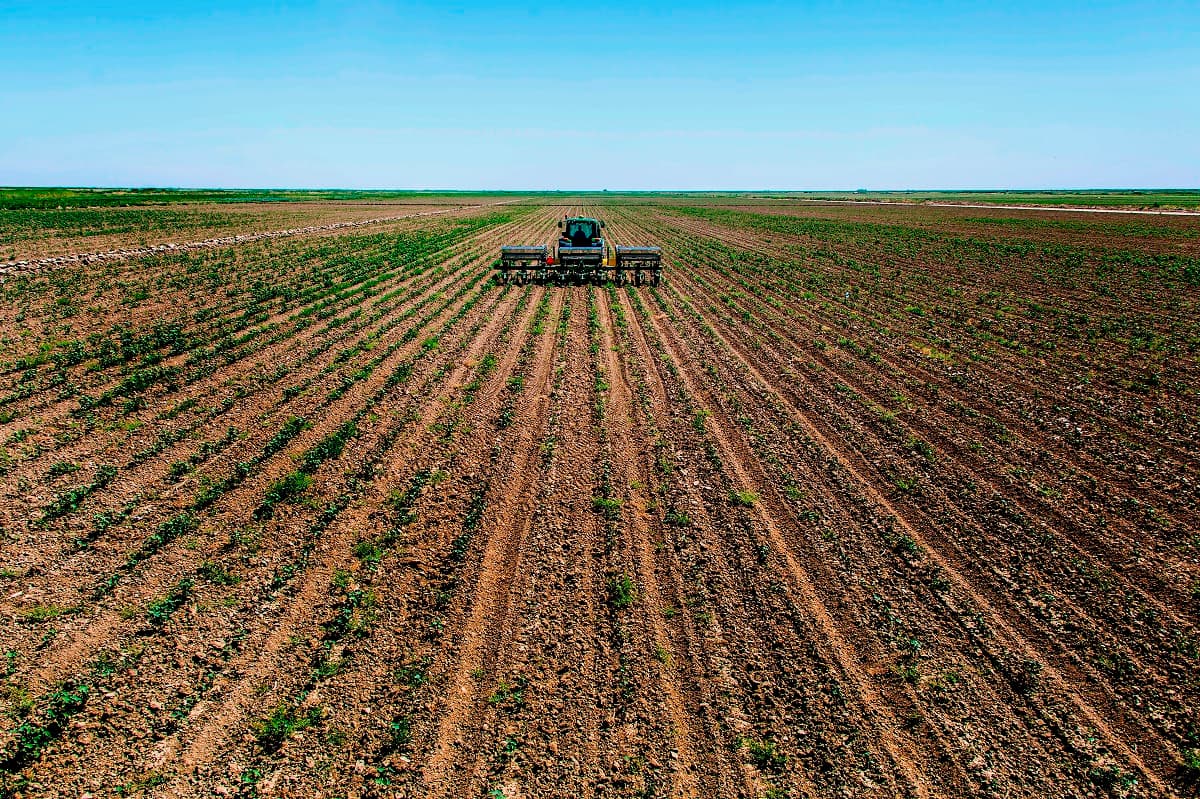 turkmenistan-izuchit-vozmozhnost-provedeniya-vystavki-expo-po-selskomu-hozyajstvu