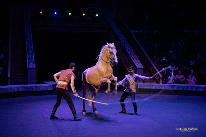 dowlet-sirki-tomasa-cagyryar