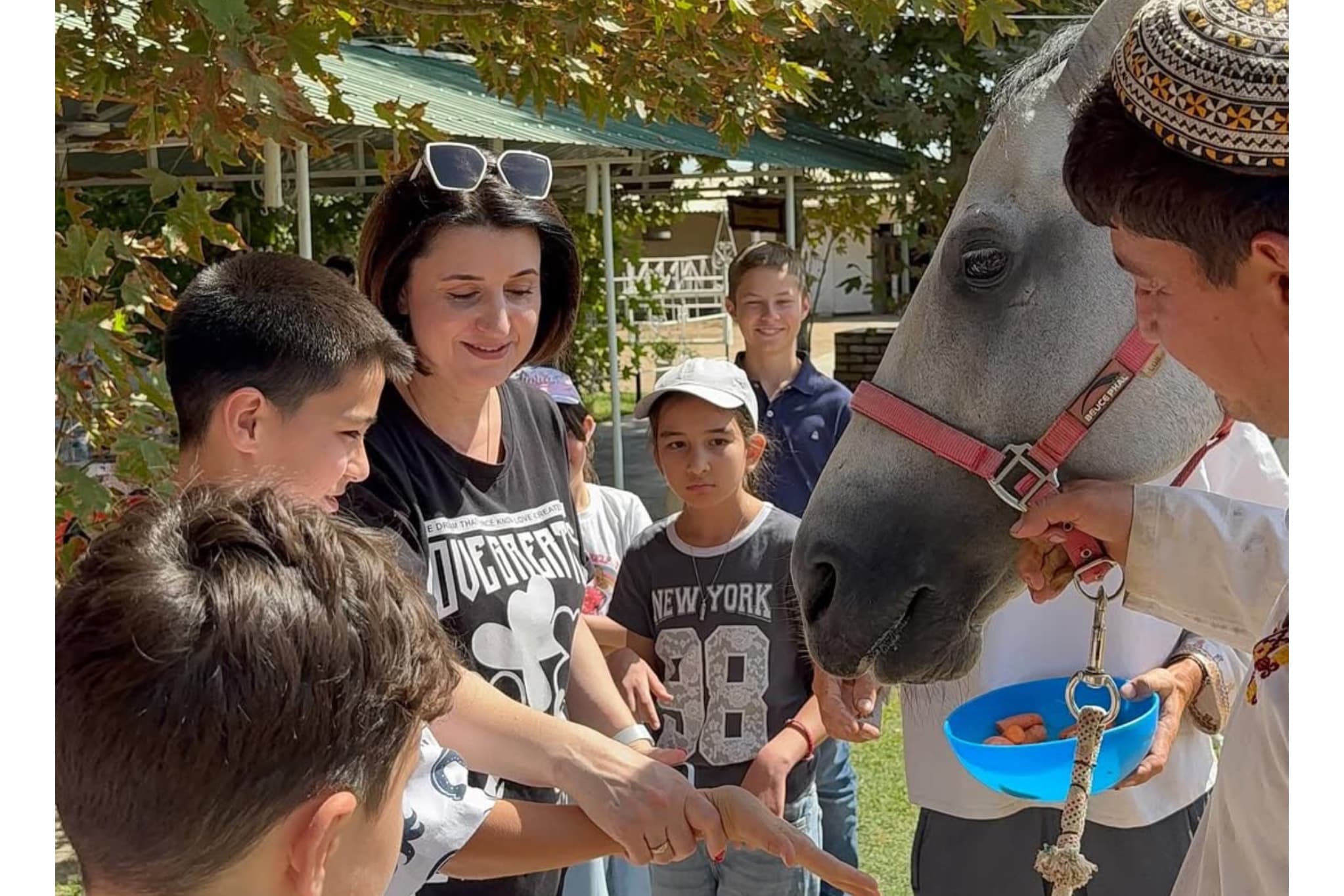 turagentstvo-letravel-priglashaet-na-osennee-priklyuchenie-na-koneferme