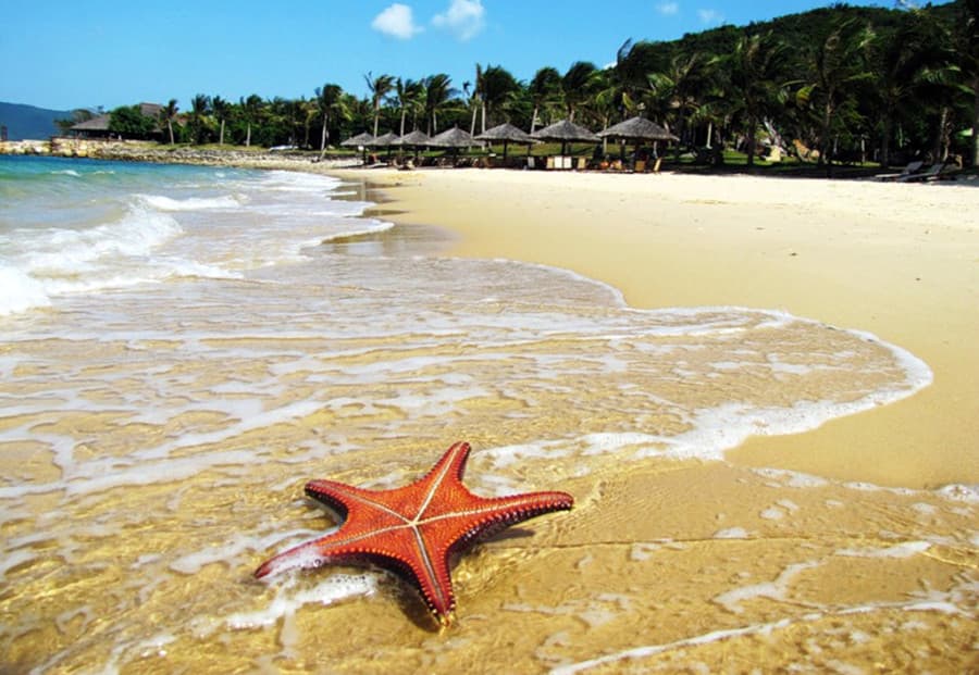 affordable-nha-trang-tour-offered-letravel