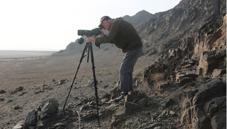 hazaryn-kenarynda-guslarynyn-gysky-sanawy-gecirilyar