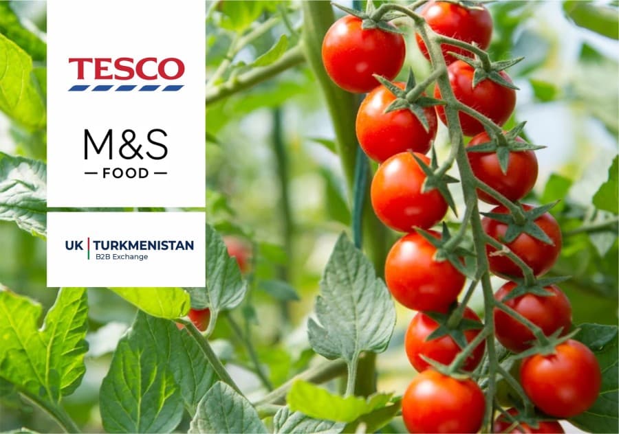 Продукция Yigit может появиться на полках Tesco и Marks & Spencer: итоги переговоров в Лондоне