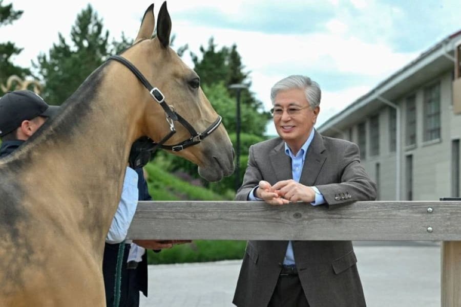 Akniyet and Borte: Kassym-Jomart Tokayev Names Newborn Ahalteke Foals