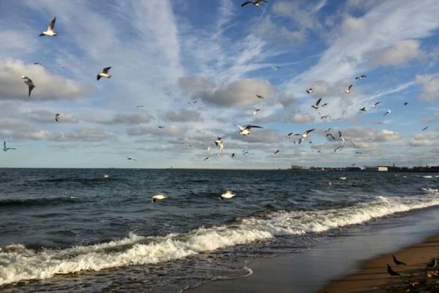 Япония выделяет 3 млн долларов на спасение Каспийского моря