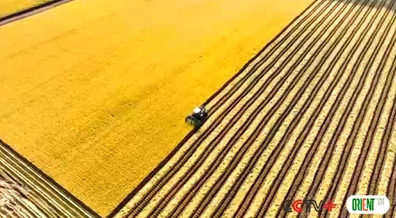 Hytaý milli strategiýa maksatnamalary boýunça öňegidişlikleri gazanýar