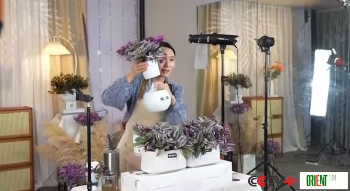 National online shopping event to be launched for Spring Festival