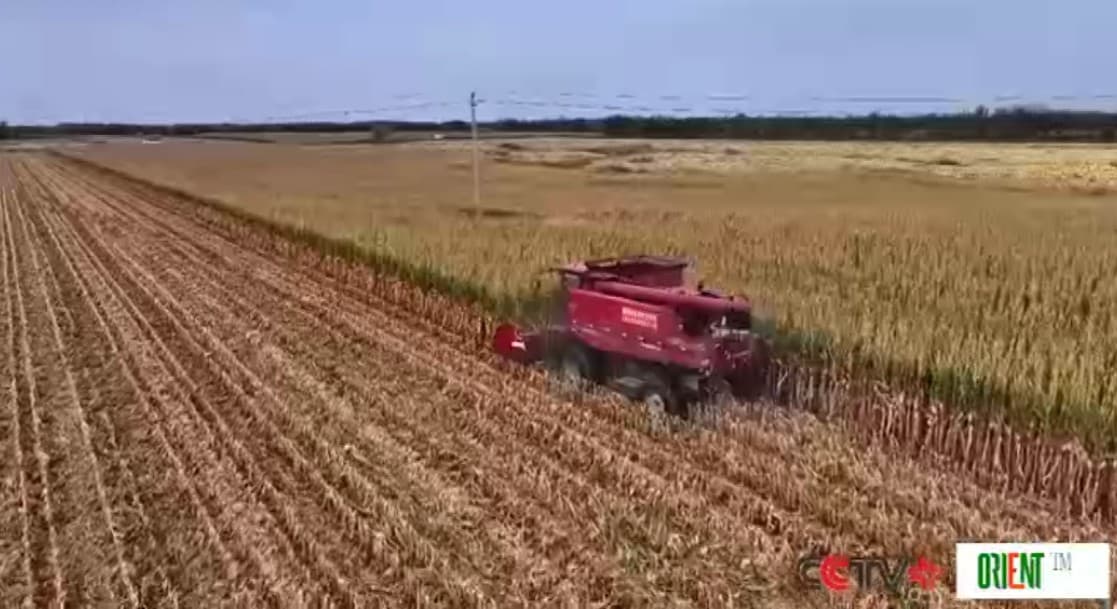 China pledges to strengthen long-term rural support, advance agricultural modernization