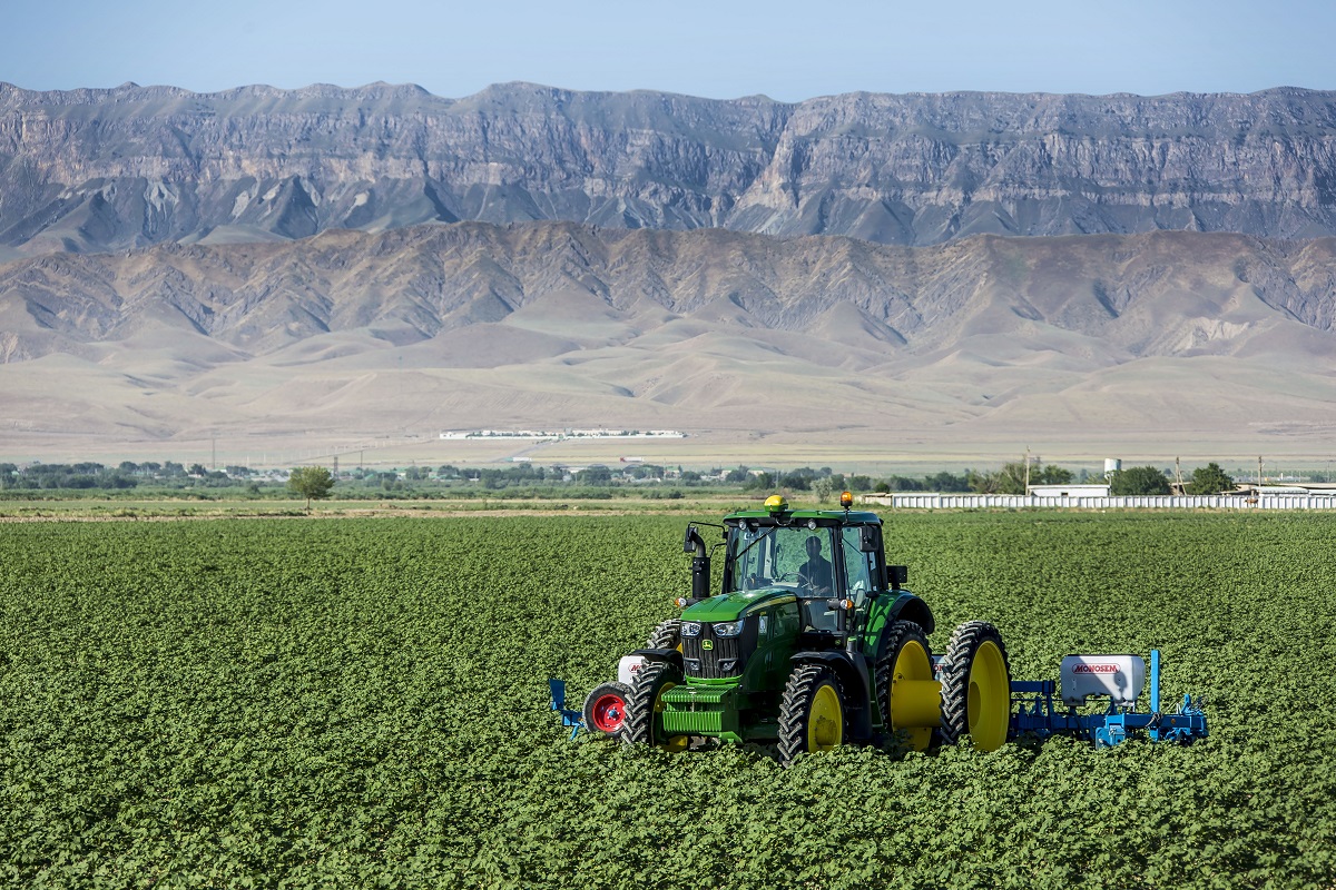 фао таджикистан. районы субтропического земледелия зарубежной азии. хозяйство стран центральной азии. сельское хозяйство средней азии. хозяйство стран центральной азии.