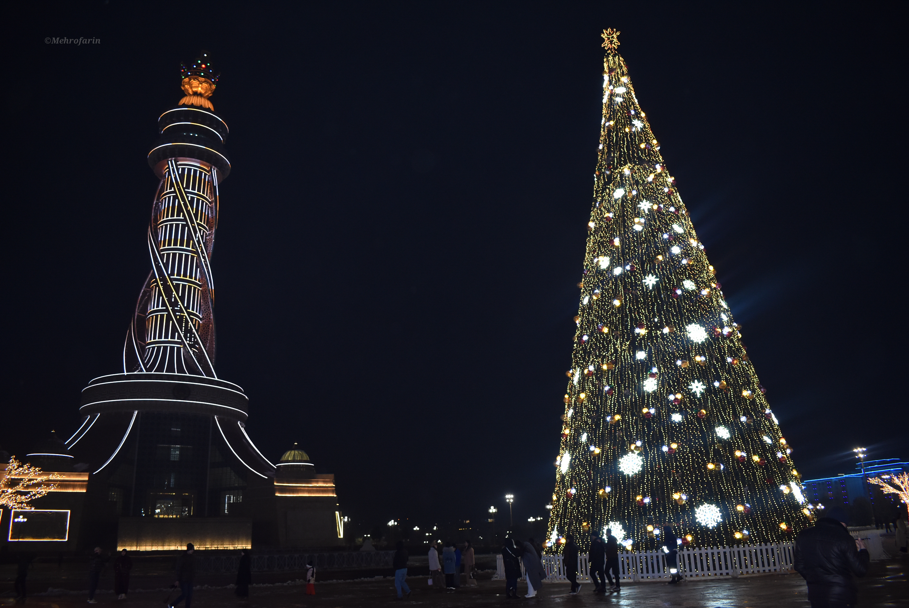 6 Tajikistan new year tree.jpg