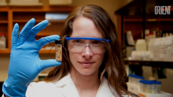 From waste – to incomes, or rice husk – to manufacture!