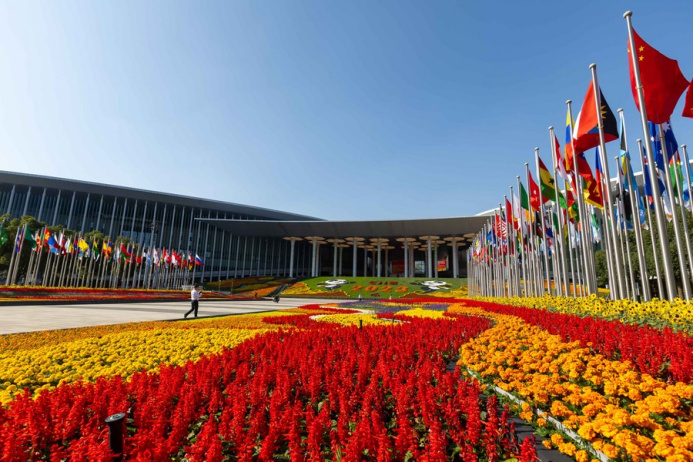  Туркменские компании пригласили участвовать в 7-й международной китайской выставке импорта в Шанхае