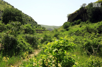 Turkmenistan to create Green Climate Fund