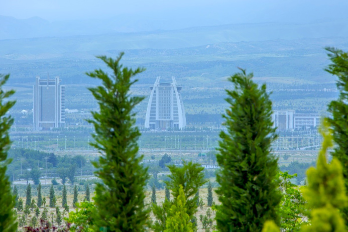  Всенародная озеленительная акция пройдет в Туркменистане 16 марта