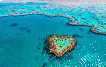 Great Barrier Reef has lost half of its corals