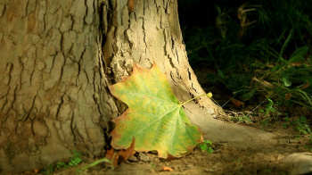 Cooling is forecasted in Turkmenistan: lower temperatures and rain expected