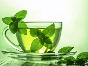 Green tea in the fight against bacteria