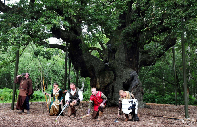  British scientists will revive the Robin Hood tree using cloning