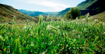 Organizations of Turkmenistan will be obliged to provide information on environmental impact