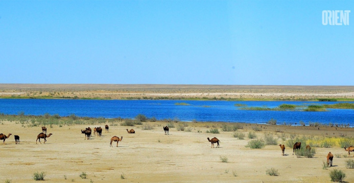  Ashgabat will host the Regional Water Conference