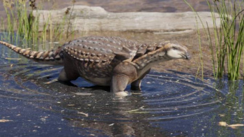 Argentinaly paleontologlar dinozawrlaryň täze görnüşiniň galyndylaryny tapdylar