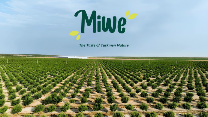  OJSC “Miwe” — Silver Sponsor of QACIS 2025 Conference