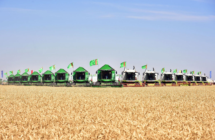  Grain Harvesting Campaign Begins in Turkmenistan