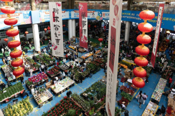 Significant business growth reported at Asia's largest flower market in 2024