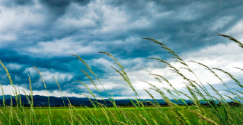 Scientists from Mary experiment generation of electric power from wind