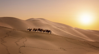 From the Silk Road to Shared Future: The Significance of China-Central Asia Cooperation